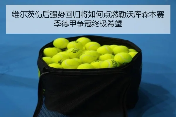 维尔茨伤后强势回归将如何点燃勒沃库森本赛季德甲争冠终极希望