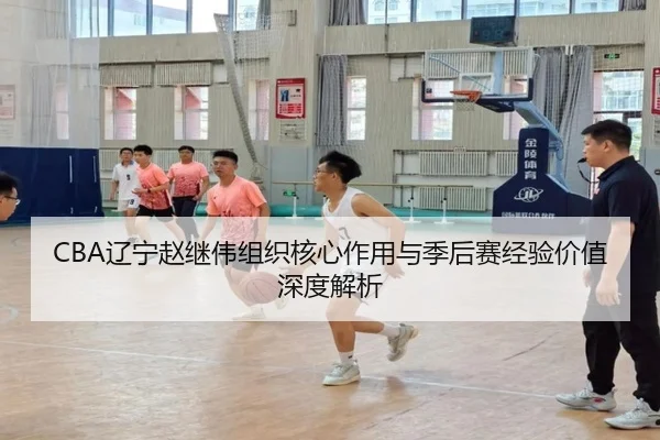 CBA辽宁赵继伟组织核心作用与季后赛经验价值深度解析